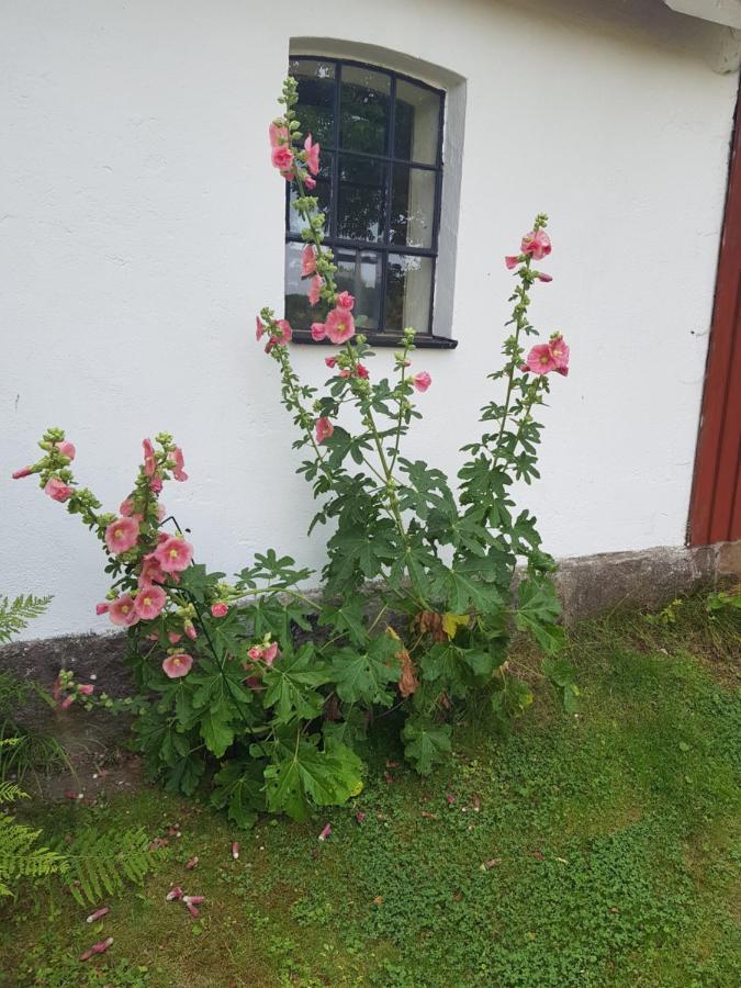 4B Oesterlen Bed & Breakfast Tomelilla Kültér fotó